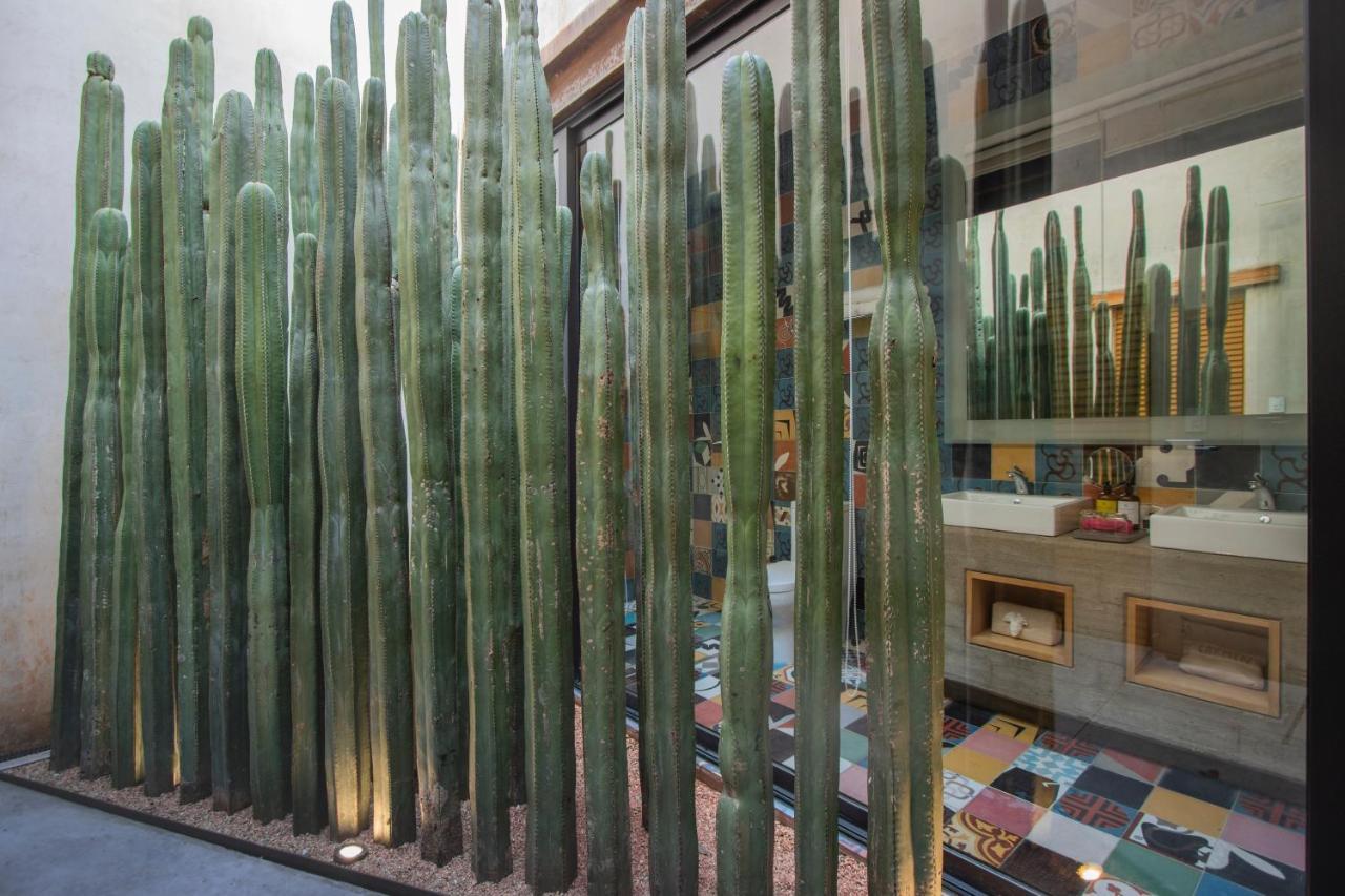 Casa Carmen Reforma Hotel Oaxaca Exterior photo