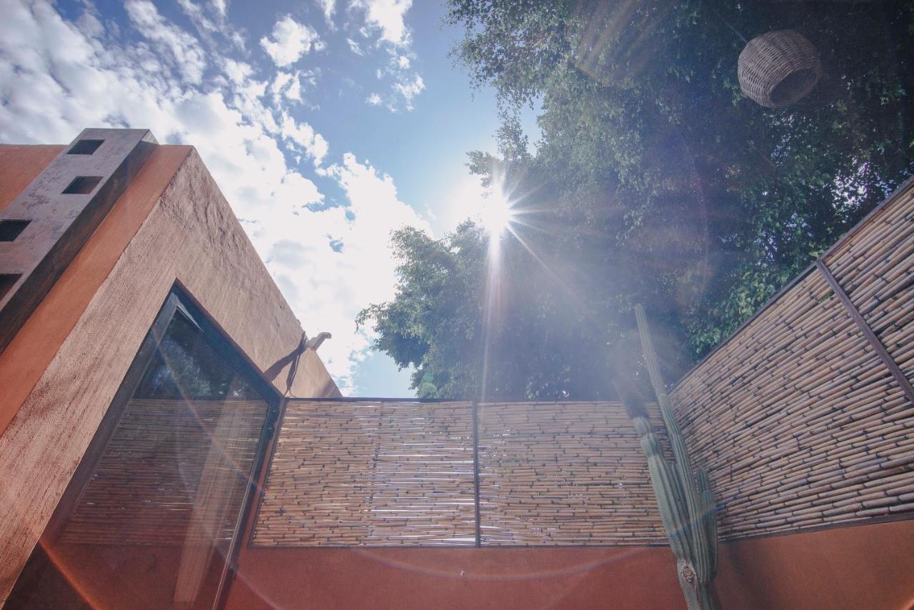 Casa Carmen Reforma Hotel Oaxaca Exterior photo