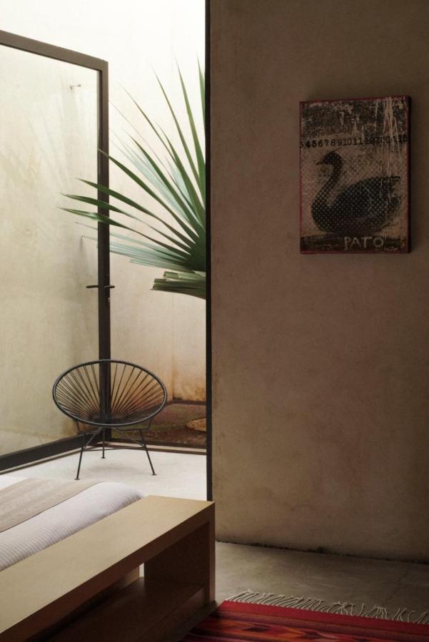 Casa Carmen Reforma Hotel Oaxaca Exterior photo