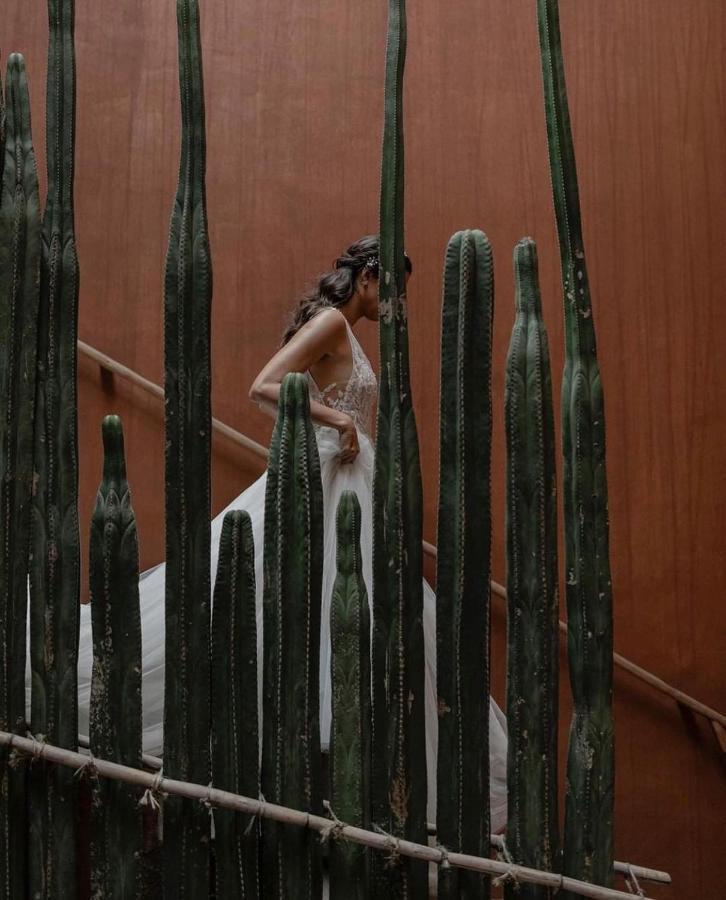 Casa Carmen Reforma Hotel Oaxaca Exterior photo