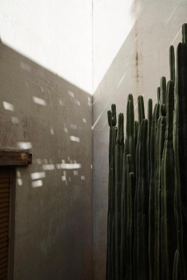 Casa Carmen Reforma Hotel Oaxaca Exterior photo
