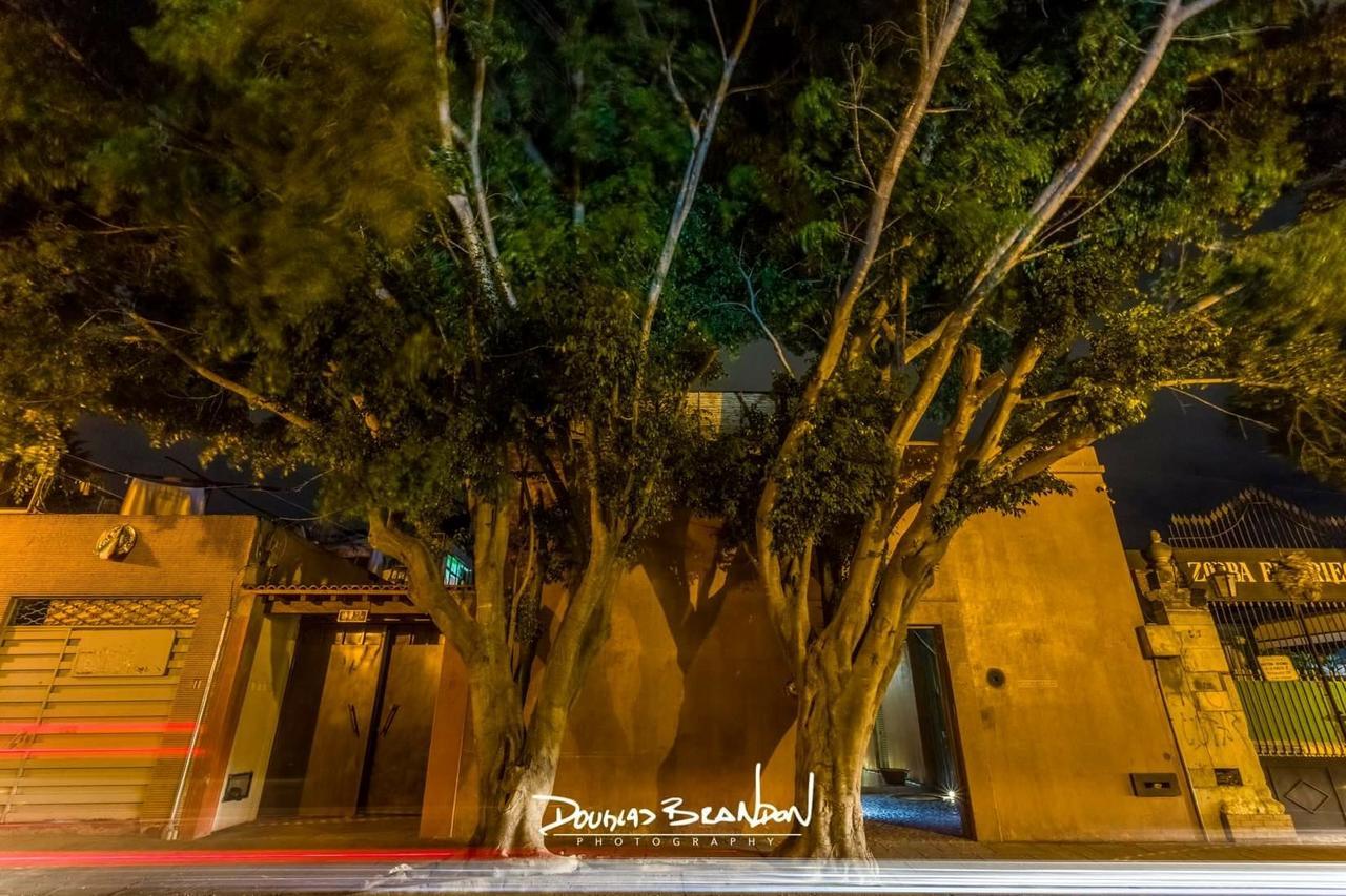 Casa Carmen Reforma Hotel Oaxaca Exterior photo